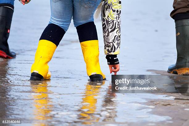 walking at north sea - waddenzee stockfoto's en -beelden