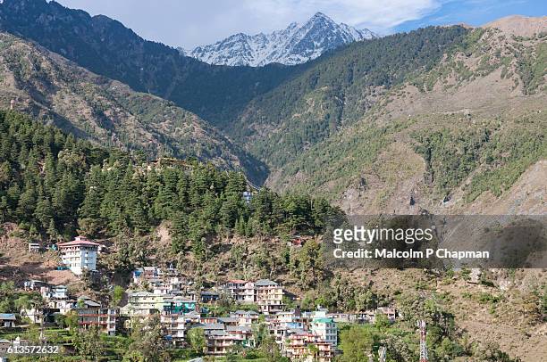 mcleod ganj, home to the dalai lama, dhauladhar mountain range near dharamsala - malcolm hill fotografías e imágenes de stock