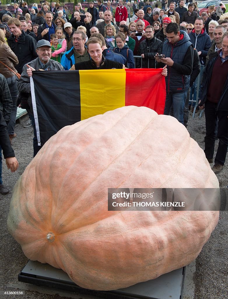 GERMANY-AGRAR-PUMPKIN-EUROPEAN-CHAMPIONSHIP