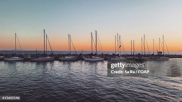 the rocky beach at sunset on white rock, canada - white rock bc stock pictures, royalty-free photos & images