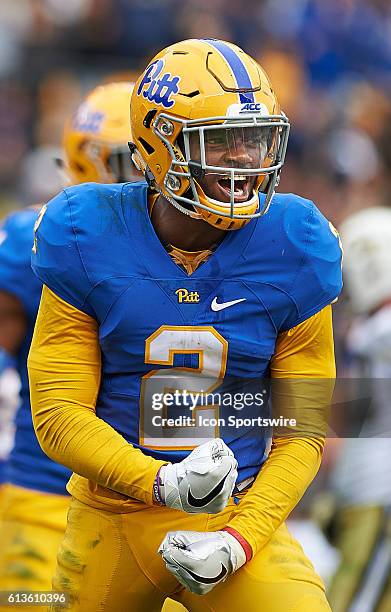 Terrish 10,745 Pittsburgh University Stock Photos, High-Res Pictures, and ...