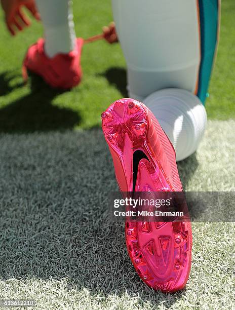 Isaiah Pead of the Miami Dolphins warms up during a game against the Tennessee Titans on October 9, 2016 in Miami Gardens, Florida.