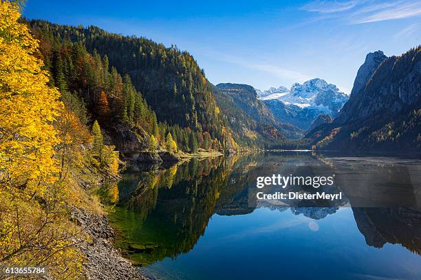 gosausee-naturreservat österreich - bergsee stock-fotos und bilder