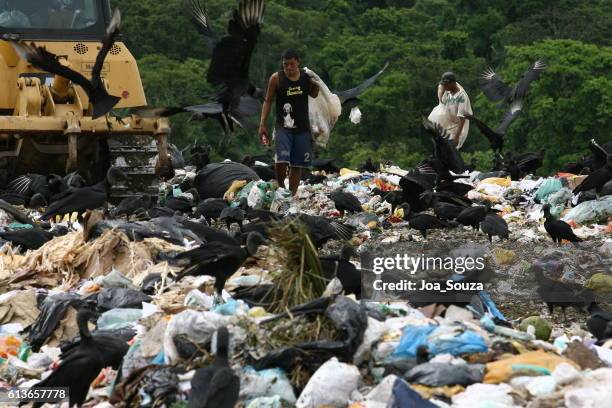 recycling / dump / itabuna - itabuna imagens e fotografias de stock