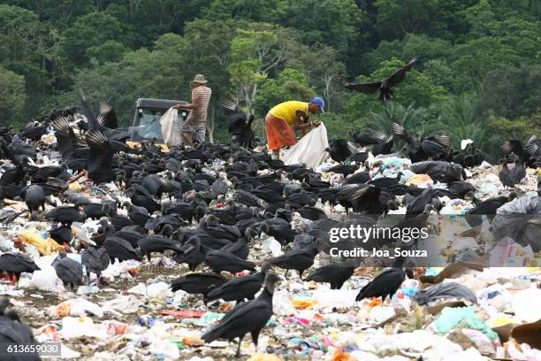 recycling / dump / itabuna - itabuna imagens e fotografias de stock