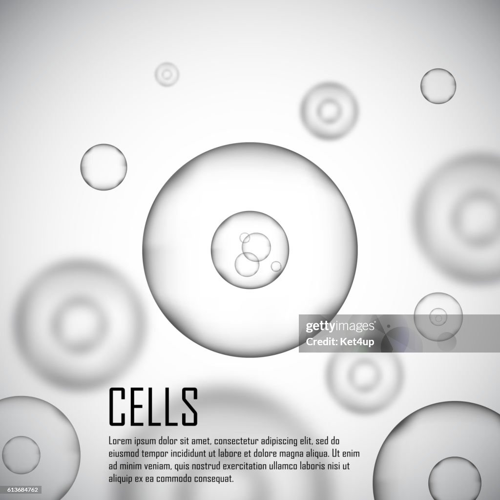 Empty Cell Background Grey Cell Background Vector Illustration High-Res Vector Graphic ...
