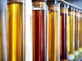 Ethanol oil test in Tube Fuel Biodiesel research Industry