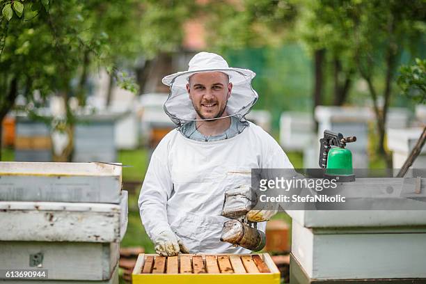 生き方としての養蜂 - headwear ストックフォトと画像