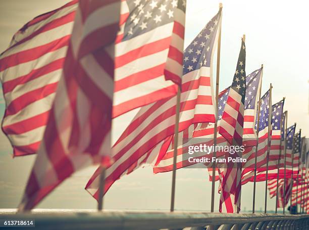 american flags - usa election stock-fotos und bilder