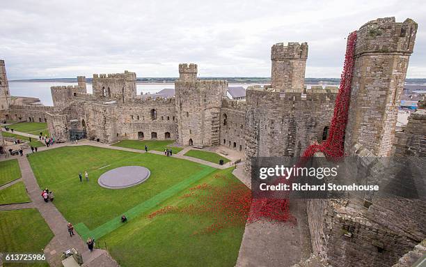 The poppy sculpture Weeping Window opens at Caernarfon Castle as part of a UK-wide tour organised by 14-18 NOW on October 10, 2016 in Caernarfon,...