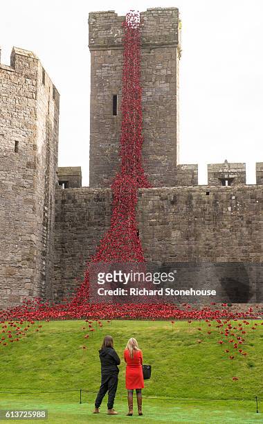 The poppy sculpture Weeping Window opens at Caernarfon Castle as part of a UK-wide tour organised by 14-18 NOW on October 10, 2016 in Caernarfon,...