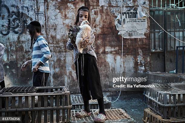 An Ultra-Orthodox Jewish boy sells a chicken to be used in the Kaparot ceremony on October 10, 2016 in Jerusalem, Israel. It is believed that the...
