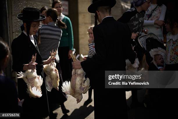 Ultra-Orthodox Jewish men perform the Kaparot ceremony on October 10, 2016 in Jerusalem, Israel. It is believed that the Jewish ritual, which...