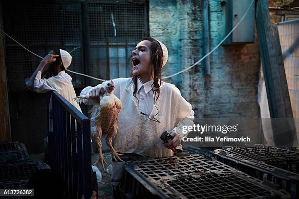 An Ultra-Orthodox Jewish boy sells a chicken to be used in the Kaparot ceremony on October 10, 2016 in Jerusalem, Israel. It is believed that the...