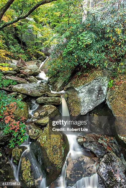 Blue Rge Mountains Spring Blue Ridge Mountains In Spring Photos and Premium High Res Pictures ...