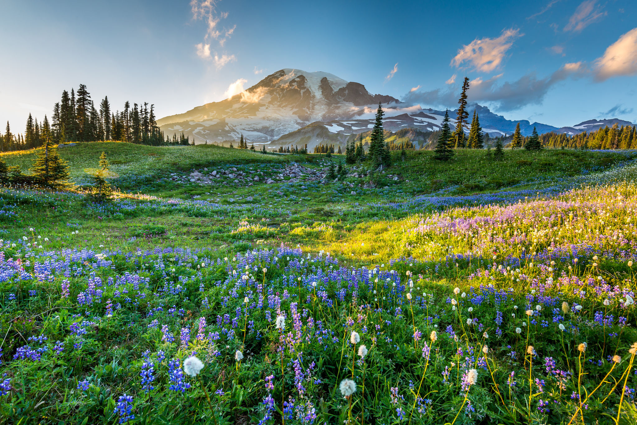 washington climate