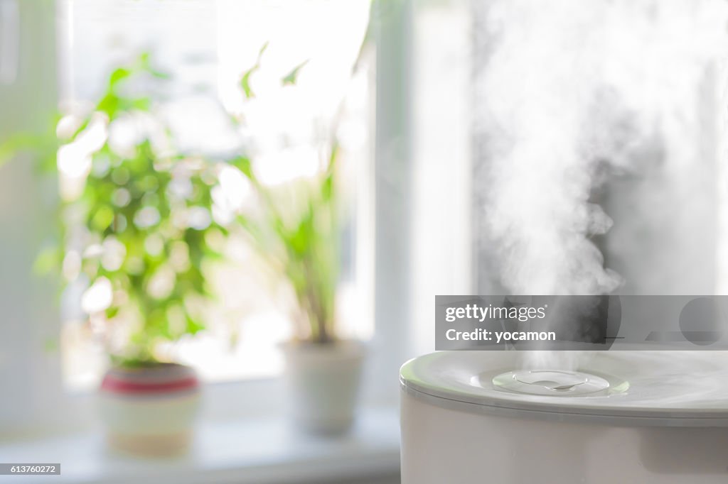 Humidifier spreading steam