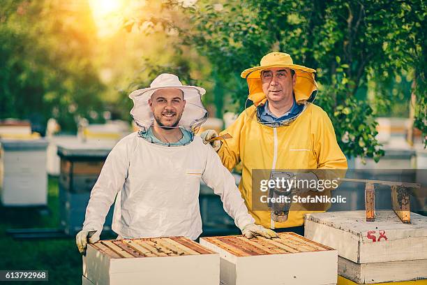 beekeepers - beekeeper stock pictures, royalty-free photos & images