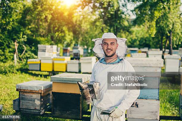 portrait of beekeeper - apiculture stock pictures, royalty-free photos & images