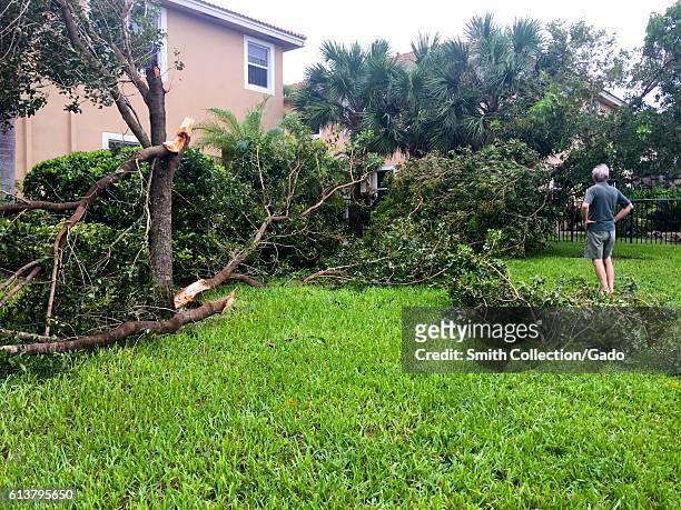 Man wearing shorts and a polo shirt, viewed from behind, stands with his hands on his hips in the backyard of his suburban home in West Palm Beach,...