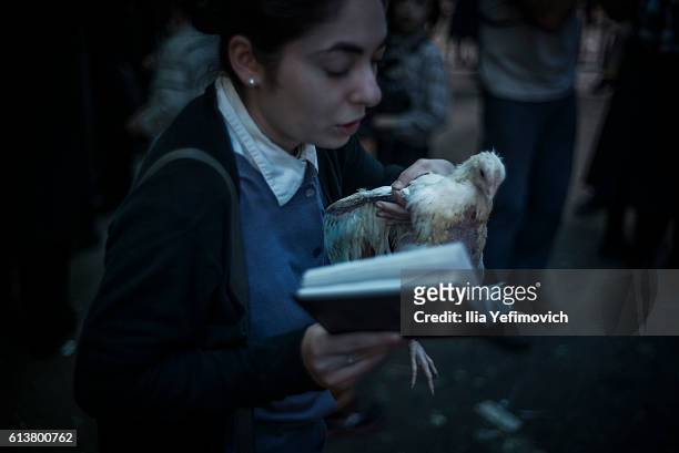 An Ultra-Orthodox Jewish girl performs the Kaparot ceremony on October 10, 2016 in Jerusalem, Israel. It is believed that the Jewish ritual, which...