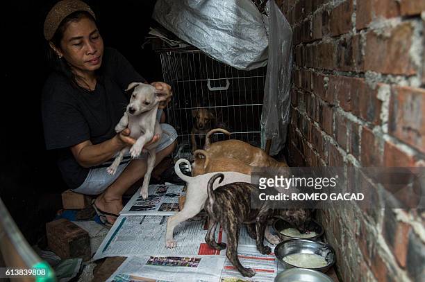 In this photograph taken on October 6 dog lover Nankay Thisaw Myint feeds puppies from a stray dog in Yangon. More than 100,000 stray dogs roam the...