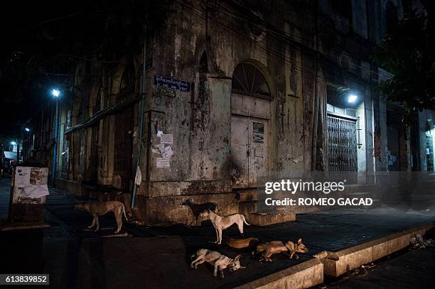 In this photograph taken May 12 a pack of stray dogs gathers at night outside an abandoned building in Yangon. More than 100,000 stray dogs roam the...