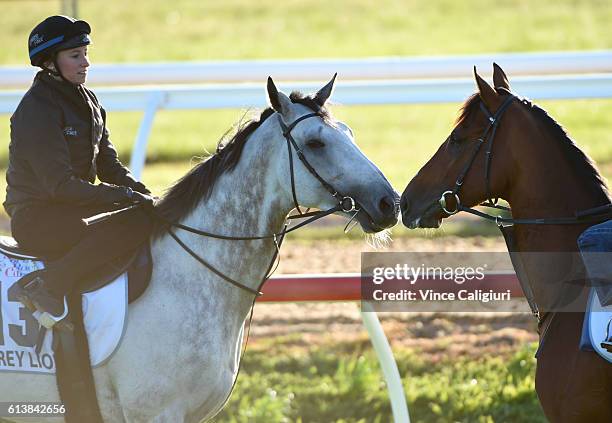 Katelyn Mallyon riding Grey Lion and Exosphere enjoying each other during a trackwork session at Werribee Racecourse on October 11, 2016 in...