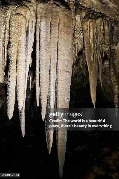 stalactites inside a natural cave - tropfsteinhöhle stalaktiten stock-fotos und bilder