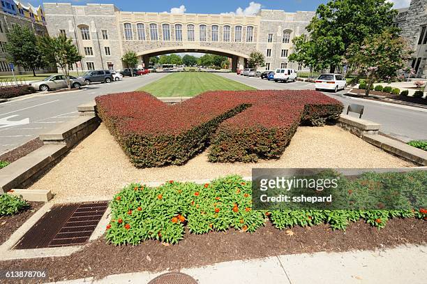 virginia tech campus - virginia polytechnic institute and state university stock pictures, royalty-free photos & images