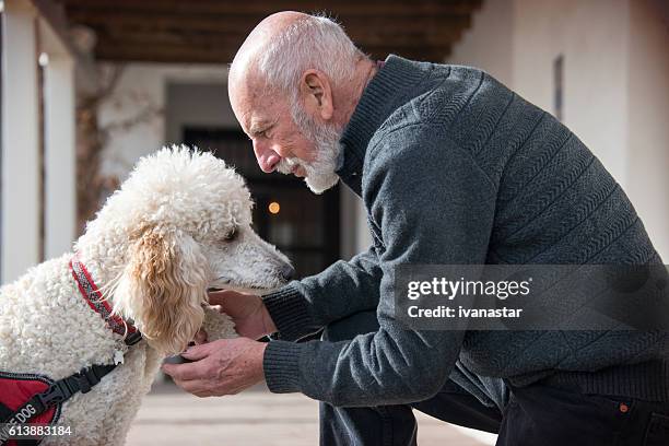 uomini anziani con il suo cane di servizio e un migliore amico - service dog foto e immagini stock