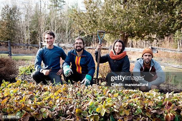 farmers in an organic garden on fall morning - agricultural occupation stock pictures, royalty-free photos & images