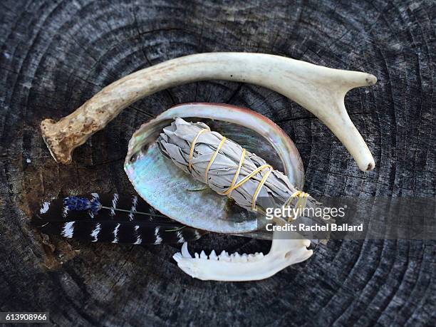 antler and sage - ceremony stock pictures, royalty-free photos & images