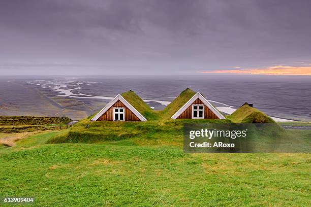 traditional farm houses in skaftafell national park, iceland - skaftafell-nationalpark stock-fotos und bilder