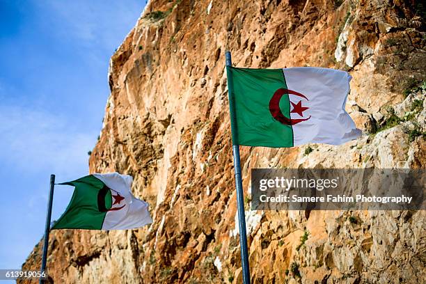 algeria-morocco border - algerian flag stockfoto's en -beelden