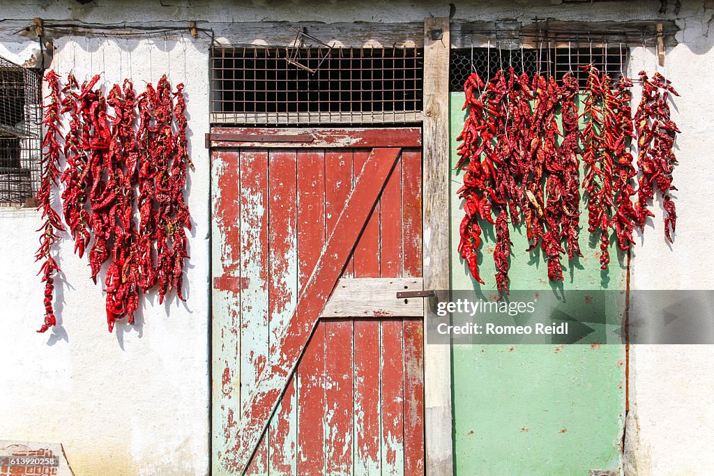 Traditional Paprika drying