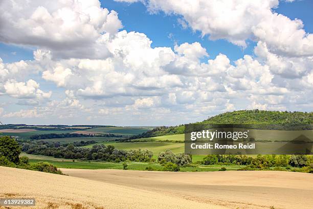 hungarian landscape - the hills of somogy - hungary summer stock pictures, royalty-free photos & images