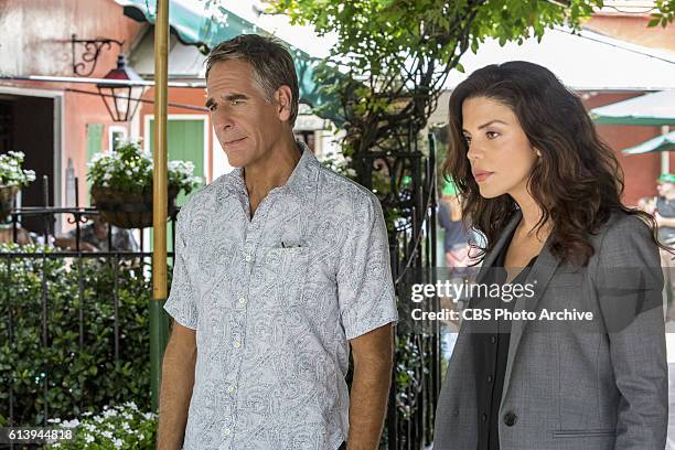 Course Correction" -- NCIS and FBI investigate a private plane crash in the bayou that killed three sailors. Also, Sonja and Lasalle interview...