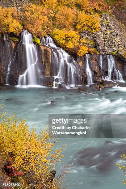 waterfall in autumn (hraunfossar - iceland) - hraunfossar stock pictures, royalty-free photos & images
