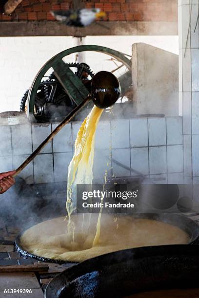 production molasses, brown sugar - aquiraz stockfoto's en -beelden