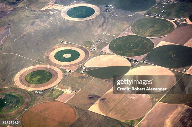 September 7, 2016: Green crop circles resulting from center-pivot irrigation systems in Colorado as seen from a passenger plane departing Denver...