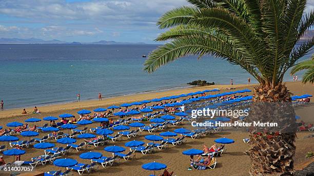 lanzarote, beach at puerto del carmen - puerto del carmen stock pictures, royalty-free photos & images