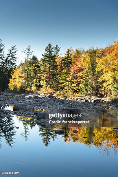 flagstaff landscape with a river in maine - flagstaff arizona 個照片及圖片檔