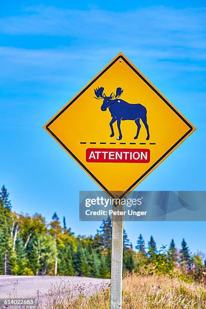 Moose Ridge Sign Moose Crossing