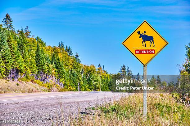 Moose Ridge Sign Moose Road Sign Photos and Premium High Res Pictures - Getty Images