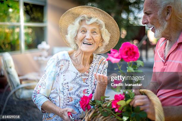 happy senior people in the garden - senior women gardening stock pictures, royalty-free photos & images