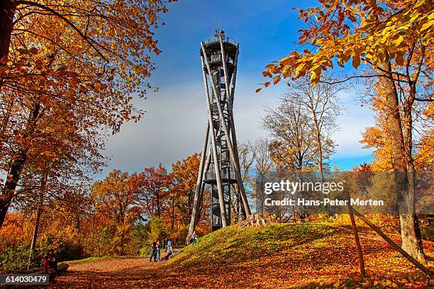 freiburg, schlossbergturm, schloßberg - friburgo de brisgovia fotografías e imágenes de stock