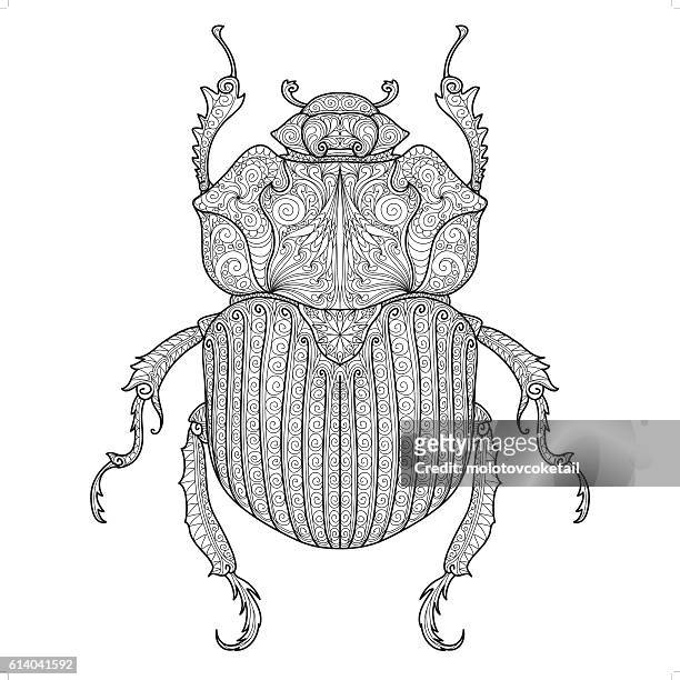 käfer-doodle-muster 3 - beetle stock-grafiken, -clipart, -cartoons und -symbole