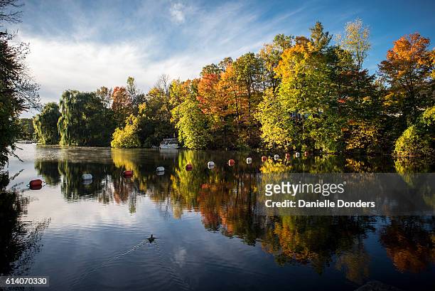 autumn leaves reflected in the rideau river - danielle donders stock pictures, royalty-free photos & images