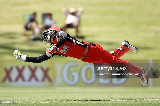 Alex Carey of the Redbacks catches Nathan Lyon of the Blues off a delivery by team mate Cameron Valente during the Matador BBQs One Day match between...